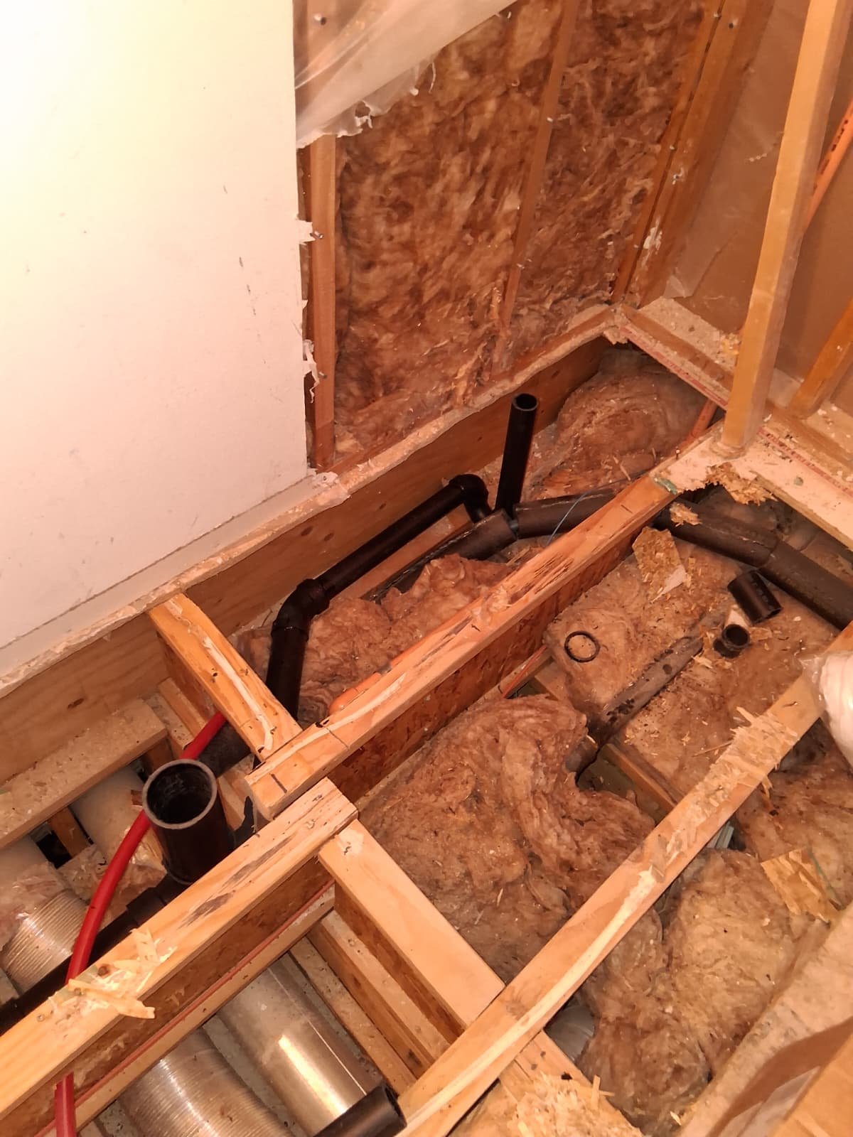 PEX hot and cold supply lines with ABS drain in open wall cavity